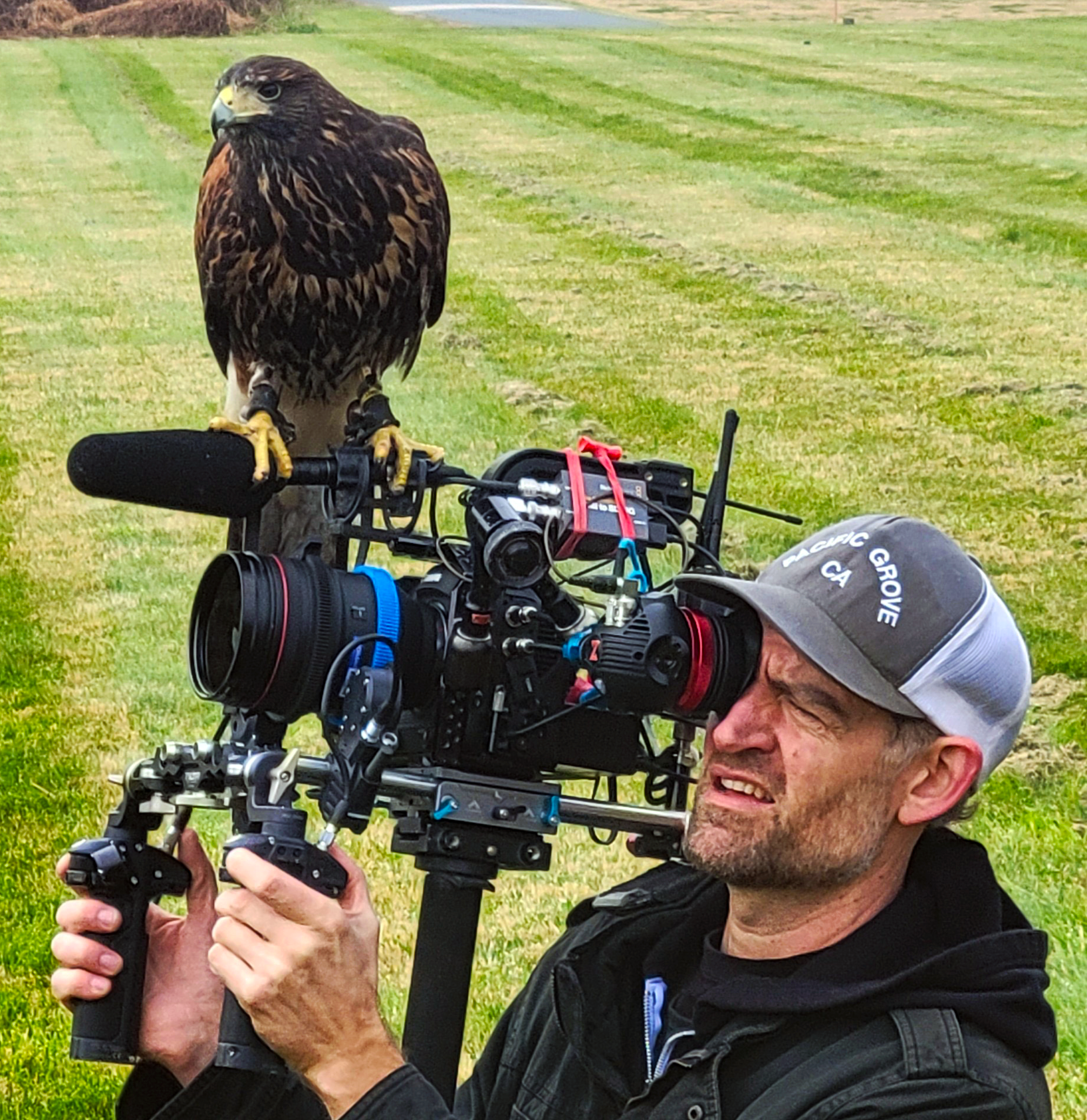 Not a picture of Kris